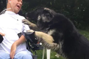 Man in a wheelchair with a large black dog on grass