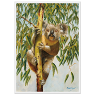 Koala Framed Poster — Icons Collection | Original Artwork by Bruce Peardon