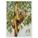 Koala Framed Poster — Icons Collection | Original Artwork by Bruce Peardon