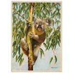 Koala Framed Poster — Icons Collection | Original Artwork by Bruce Peardon