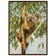 Koala Framed Poster — Icons Collection | Original Artwork by Bruce Peardon